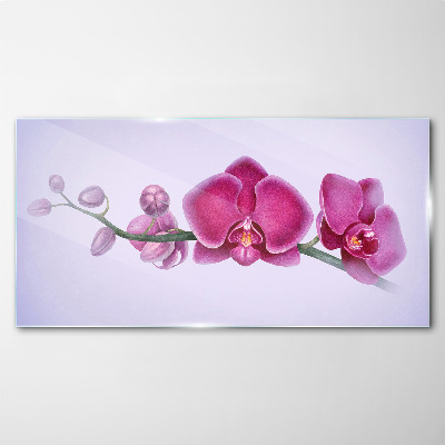Obraz na Szkle Orchidee w delikatnych odcieniach różu