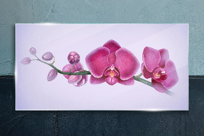 Obraz na Szkle Orchidee w delikatnych odcieniach różu