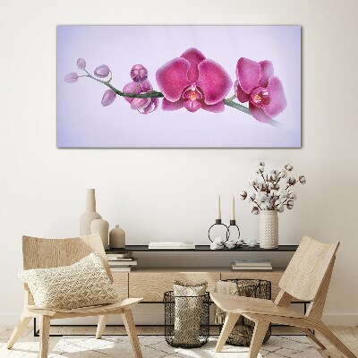 Obraz na Szkle Orchidee w delikatnych odcieniach różu