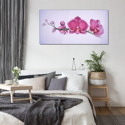 Obraz na Szkle Orchidee w delikatnych odcieniach różu