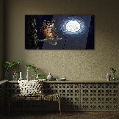 Obraz Szklany drzewo gałąź sowa noc księżyc