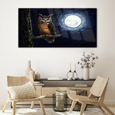 Obraz Szklany drzewo gałąź sowa noc księżyc