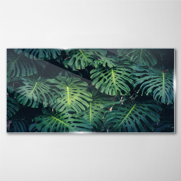 Obraz Szklany Tropikalna zieleń w liściach monstera