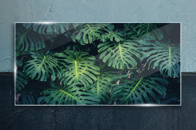 Obraz Szklany Tropikalna zieleń w liściach monstera