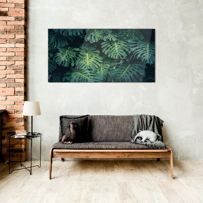 Obraz Szklany Tropikalna zieleń w liściach monstera