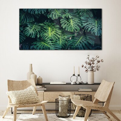 Obraz Szklany Tropikalna zieleń w liściach monstera