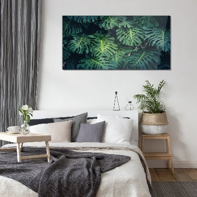 Obraz Szklany Tropikalna zieleń w liściach monstera