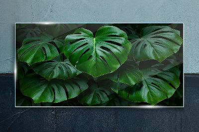 Obraz na Szkle Zielona symfonia liści monstera