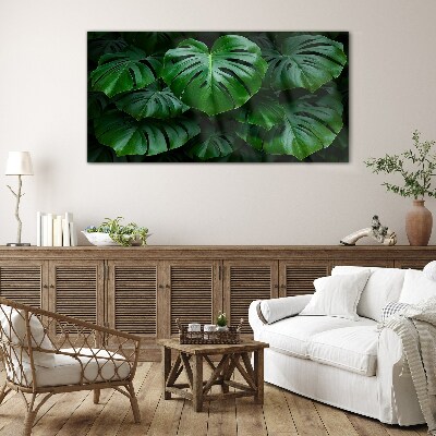 Obraz na Szkle Zielona symfonia liści monstera