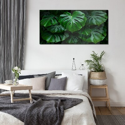Obraz na Szkle Zielona symfonia liści monstera