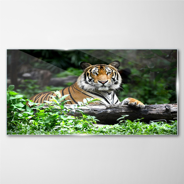 Obraz Szklany las zwierzę kot tygrys