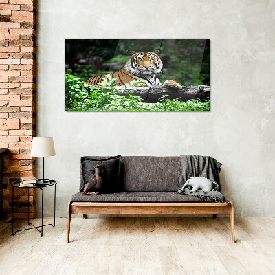 Obraz Szklany las zwierzę kot tygrys