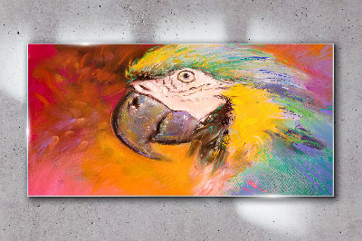 Obraz Szklany Abstrakcja Zwierzę Papuga