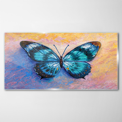 Obraz na Szkle motyl owad kolorowy