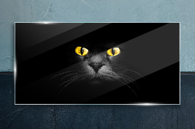 Obraz Szklany zwierzęta koty oczy