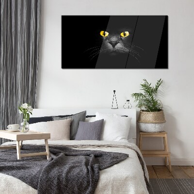 Obraz Szklany zwierzęta koty oczy