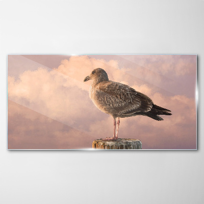 Obraz Szklany Zwierzę Ptak Mewa niebo