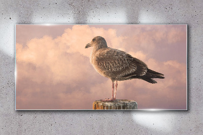 Obraz Szklany Zwierzę Ptak Mewa niebo