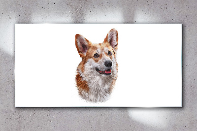 Obraz na Szkle Portret radosnego psa Corgi