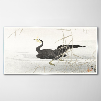 Obraz na Szkle Czarny kormoran wśród trzcin