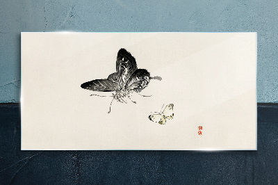 Obraz Szklany Nowoczesny Owady Motyl