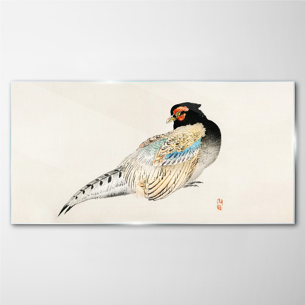 Obraz na Szkle Pheasant in Elegant Plumage