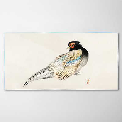 Obraz na Szkle Pheasant in Elegant Plumage
