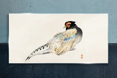 Obraz na Szkle Pheasant in Elegant Plumage