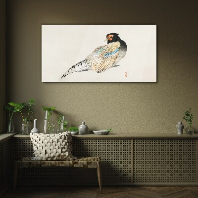 Obraz na Szkle Pheasant in Elegant Plumage