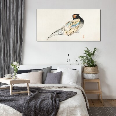 Obraz na Szkle Pheasant in Elegant Plumage