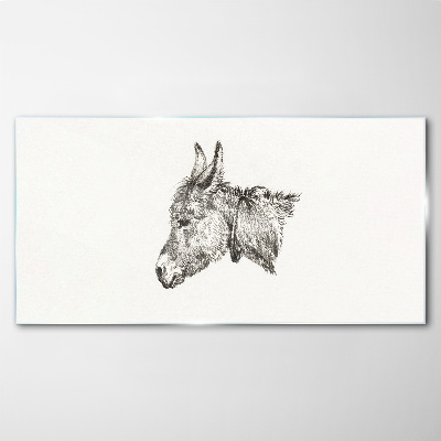 Obraz na Szkle Portret osła w monochromatycznym stylu