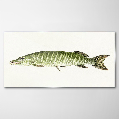 Obraz Szklany Muskie w naturalnym środowisku