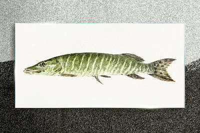 Obraz Szklany Muskie w naturalnym środowisku