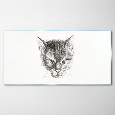 Obraz na Szkle Portret kota w odcieniach szarości