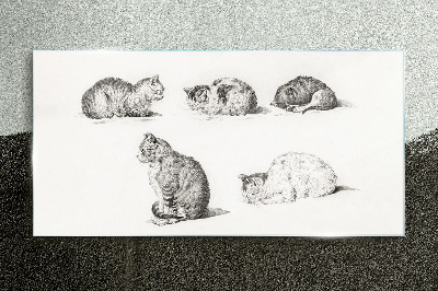 Obraz na Szkle Rysunek Zwierzęta Koty