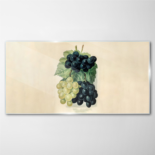 Obraz na Szkle owoce winogrona liście