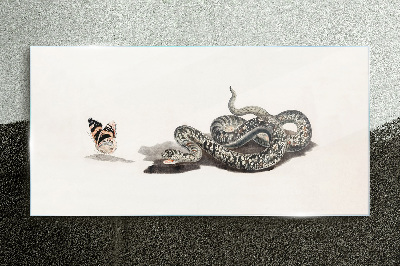 Obraz na Szkle Rysunek Zwierzę Wąż Motyl
