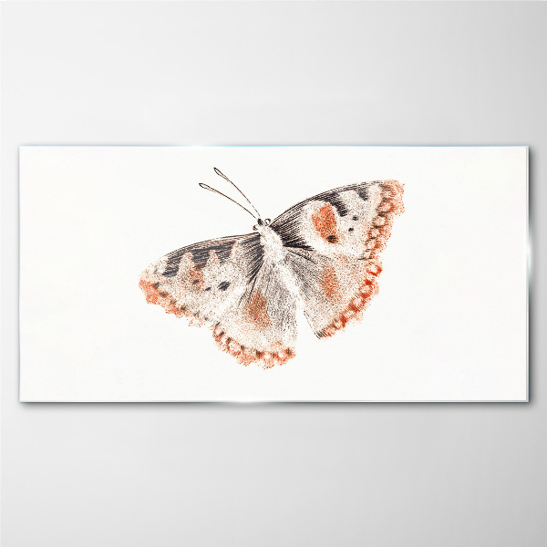 Obraz Szklany Motyl na białym tle