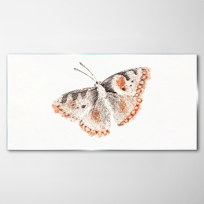 Obraz Szklany Motyl na białym tle