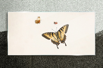 Obraz Szklany Nowoczesny Bug Owad Motyl