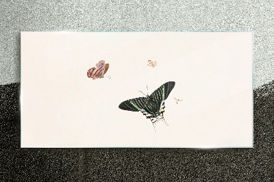 Obraz Szklany Nowoczesny Bug Owad Motyl