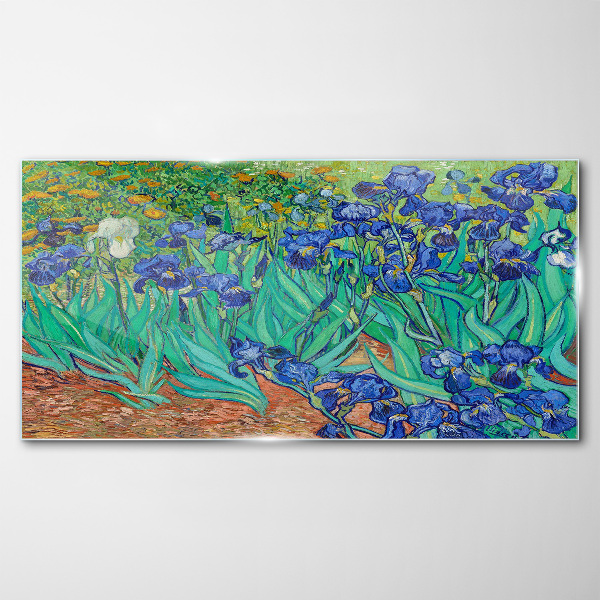 Obraz na Szkle Irises in Bloom