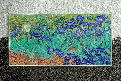 Obraz na Szkle Irises in Bloom