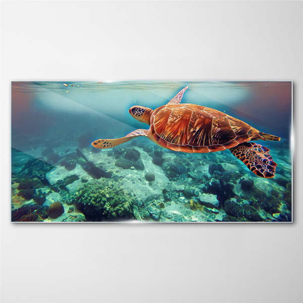 Obraz Szklany Turtle in Tranquil Waters