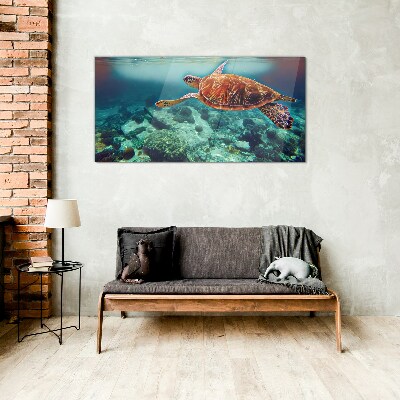 Obraz Szklany Turtle in Tranquil Waters