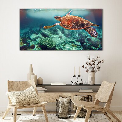 Obraz Szklany Turtle in Tranquil Waters