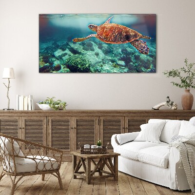 Obraz Szklany morze zwierzę żółw woda