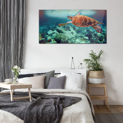 Obraz Szklany Turtle in Tranquil Waters