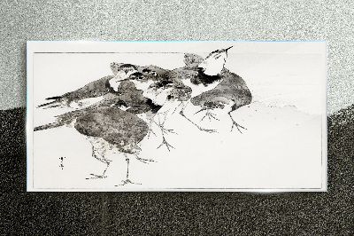 Obraz na Szkle Zwierzę Ptaki