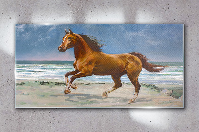 Obraz Szklany plaża wybrzeże koń morze fale